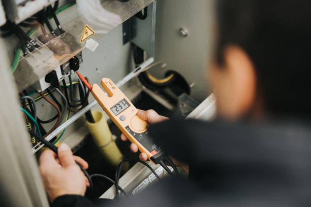 Best Home Electrical Repair  in Roan Mountain, TN
